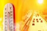 ઉત્તર ભારતમાં ગરમીએ હાહાકાર બોલાવ્યો, દિલ્હીનું નજફગઢ 48 ડિગ્રી સાથે સૌથી ગરમ સ્થળ