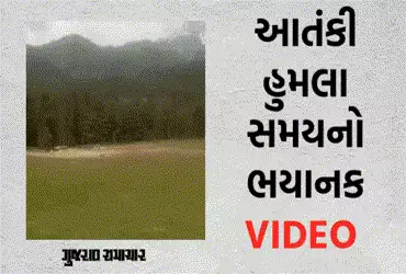 pahalgam Viral Video