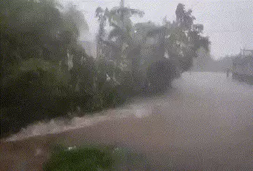Maharashtra Rain