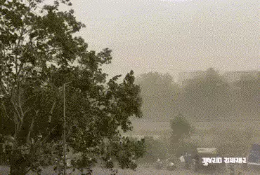 Gujarat Rain