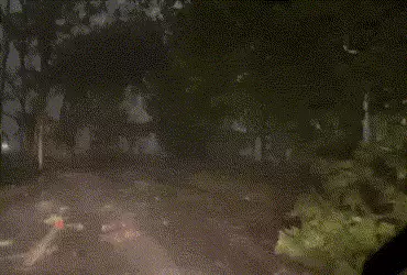 delhi rain