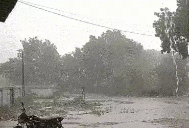 Rain