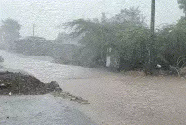 Rain in 148 talukas of Gujarat