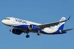 Indigo