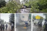 Gujarat Rain