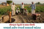 electricity and water supply to farmers