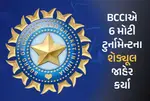 BCCIએ 6 મોટી ટુર્નામેન્ટના શેડ્યૂલ કર્યા જાહેર, જાણો ક્યારથી શરૂ થશે સીઝન