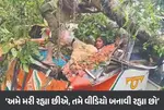 Uttar Pradesh, Tree Fell On Roadways Bus In Barabanki, 5 Death, Accident Video