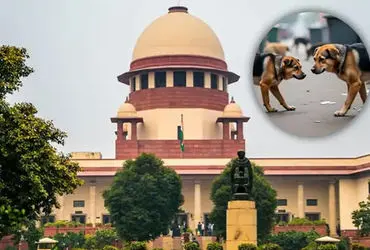 Supreme Court Circular