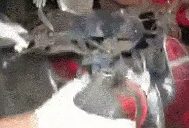 scooter explosion kanpur uttar pradesh
