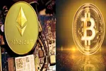 Crypto Market Crashed