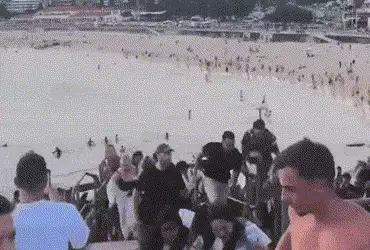 ઑસ્ટ્રેલિયાના બીચ પર લાશો વિખેરાઈ, અત્યાર સુધીમાં 12ના મોત: યહૂદી ફેસ્ટિવલ દરમિયાન આતંકવાદી હુમલો