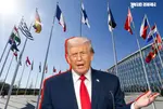 trump on nato