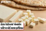 fake-paneer