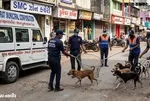 surat Stray Dogs Castration Campaign