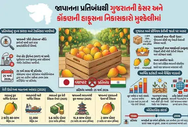 Japan Bans Indian Mangoes, Alphonso Kesar Export Ban, Indian Mango Export Crisis, Phytosanitary Ban On Mangoes, VHT Plant Inspection Japan, Mango Export Market 2026, Indian Agriculture News, Yokohama Plant Protection Association