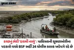 Explainer: કચ્છનું 'હરામી નાળું', જાણો ભારત-પાકિસ્તાન સરહદના આ જળ માર્ગનું આવું નામ કેવી રીતે પડ્યું