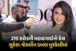 Sukesh Chandrashekhar Jacqueline Fernandez, Money Laundering Case Charges Framed, Patiala House Court Delhi, Rs 215 Crore Extortion Trial, MCOCA Case Sukesh Chandrashekhar, Aditi Singh Sukesh Scam, Jacqueline Fernandez Legal Trouble, Pinky Irani Money Laundering