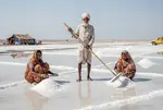 Kharaghoda Hindustan Salt Agaria Protests