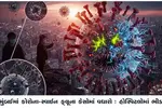 મુંબઈમાં કોરોના-સ્વાઈન ફ્લૂના કેસોમાં વધારો : હોસ્પિટલોમાં ભીડ