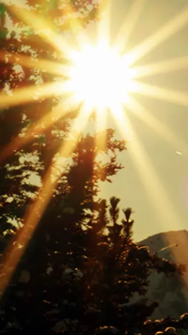 દરરોજ સૂર્યદેવને જળ કેવી રીતે ચઢાવવું જોઈએ? જાણો સાચો નિયમ