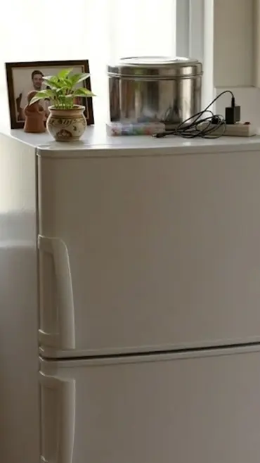 એલર્ટ ! ભૂલથી પણ ફ્રિજ ઉપર 5 વસ્તુઓ ન રાખતા, નહીંતર મુશ્કેલીમાં પડી જશો