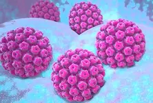 વિજ્ઞાનીઓએ 13 નવા પ્રકારના પેપિલોમા વાયરસ શોધ્યા, જેનાથી કેન્સરનો વધી શકે છે ખતરો