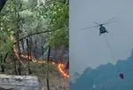 ભભૂકી ઉઠી પહાડોની ધરા: ઉત્તરાખંડના જંગલોમાં ભીષણ આગ, હાઈકોર્ટ કોલોની પણ ઝપેટમાં, મદદે આવી સેના