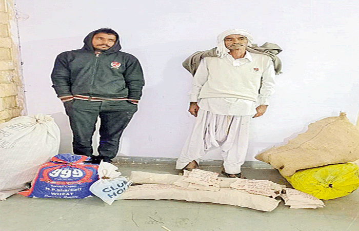 મકાનમાંથી 14 કિલો ઉપરાત ગાંજા સાથે બે ઇસમો ઝડપાયા 1 - image