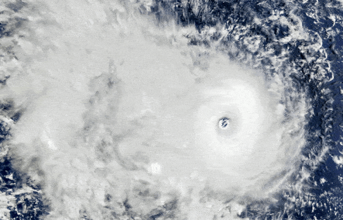 'દાના' વાવાઝોડાથી દરિયા કિનારાના 2 રાજ્યો ટેન્શનમાં, સ્કૂલ-કોલેજો બંધ, 197 ટ્રેનો રદ કરાઈ 1 - image